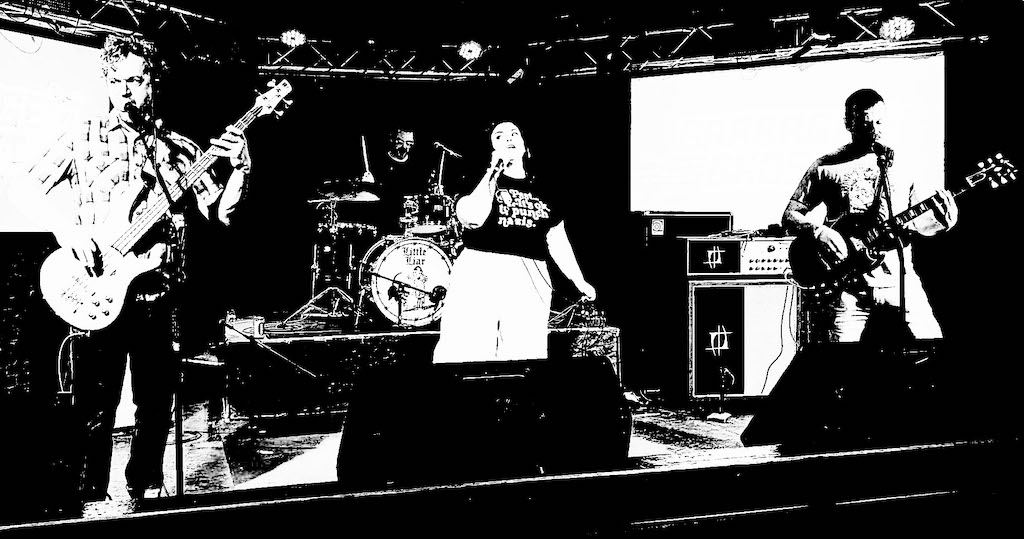 Band live — crowd skanking